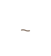 Majestic Bay